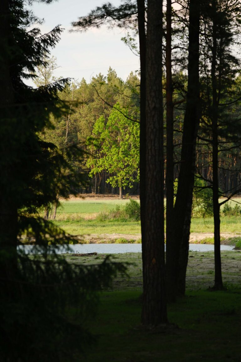 Ostoja Borucza, obiekt na wyłączność w lesie pod Warszawą